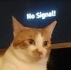 aviimax's profile picture