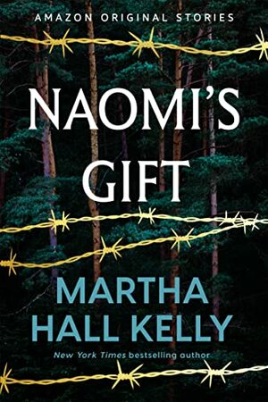 Naomi's Gift by Martha Hall Kelly