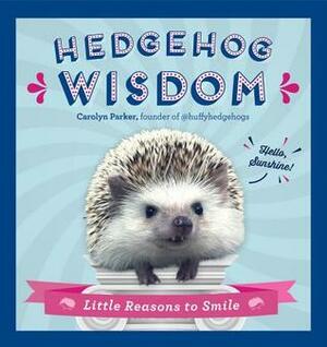 Hedgehog Wisdom: Little Reasons to Smile by Carolyn Parker