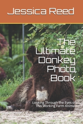The Ultimate Donkey Photo Book: Looking Through the Eyes of This Working Farm Animal by Jessica Reed