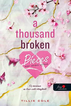 A Thousand Broken Pieces - Ezer törött szilánk by Tillie Cole