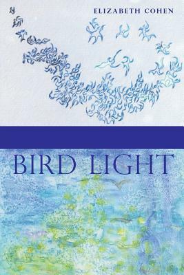 Bird Light by Elizabeth Cohen