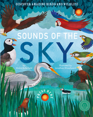 Sounds of the Sky by Moira Butterfield