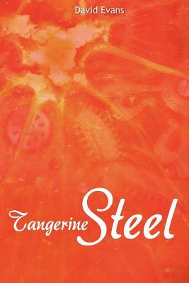 Tangerine Steel: A Life Story by David Evans