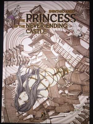 The Princess of the Never-Ending Castle by 駕籠真太郎, Shintarō Kago