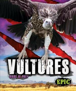 Vultures by Nathan Sommer