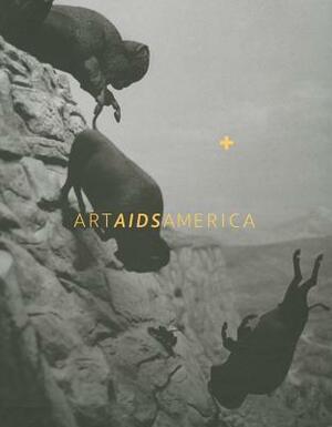 Art AIDS America by Rock Hushka, Jonathan David Katz