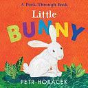 Little Bunny by Petr Horacek