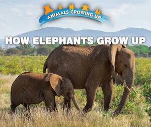 How Elephants Grow Up by Heather Moore Niver