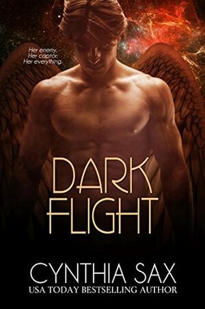 Dark Flight by Cynthia Sax