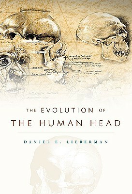The Evolution of the Human Head by Daniel E. Lieberman