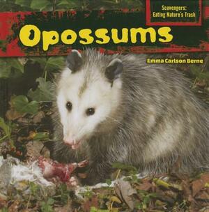 Opossums by Emma Carlson Berne