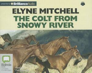 The Colt from Snowy River by Elyne Mitchell