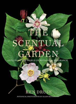 Scentual Garden: Exploring the World of Botanical Fragrance by Ellen Hoverkamp, Ken Druse