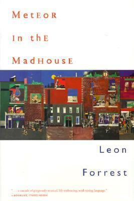 Meteor in the Madhouse by Leon Forrest, Marianne Forrest, Merle Drown