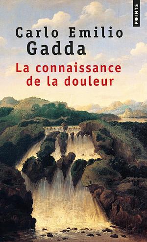 La Connaissance de la douleur by Carlo Emilio Gadda