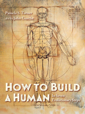 How to Build a Human: In Seven Evolutionary Steps by Pamela S Turner, John Gurche