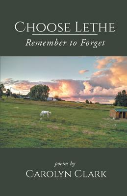 Choose Lethe: Remember to Forget by Carolyn Clark
