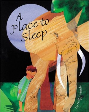 A Place to Sleep by Holly Meade