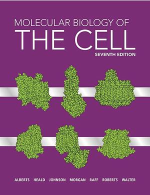 Molecular Biology of the Cell by Julian Lewis, Bruce Alberts, Keith Roberts, Alexander Johnson, Paul Walter, Martin Raff