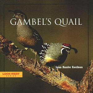 Gambel's Quail by Lynn Hassler, Lynn Hassler Kaufman