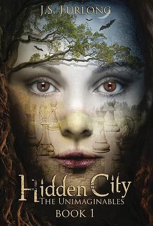 Hidden City  by J.S. Furlong