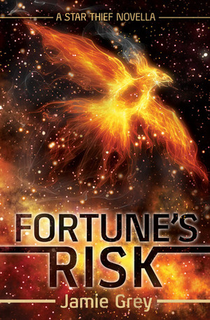 Fortune's Risk by Jamie Grey