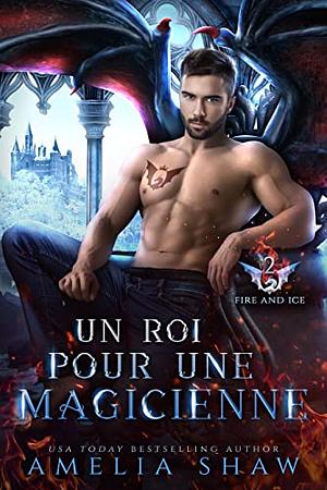 Un roi pour une magicienne by Amelia Shaw