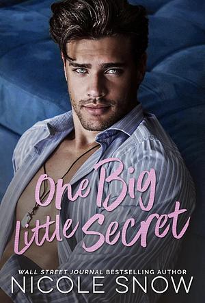 One Big Little Secret : A Secret Baby Romance by Nicole Snow