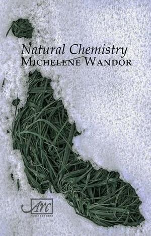Natural Chemistry by Michelene Wandor