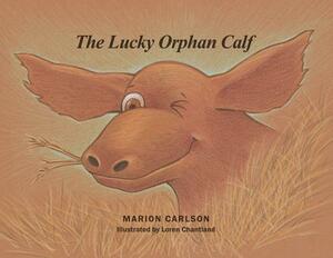 The Lucky Orphan Calf by Marion Carlson