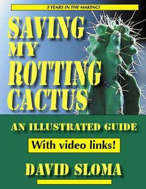 Saving My Rotting Cactus by David Sloma