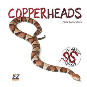 Copperheads by John Bankston