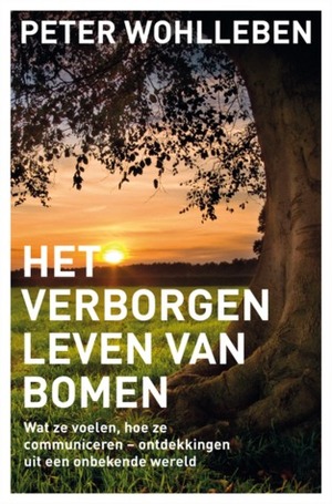 Het verborgen leven van bomen: Wat ze voelen, hoe ze communiceren - ontdekkingen uit een onbekende wereld by Peter Wohlleben