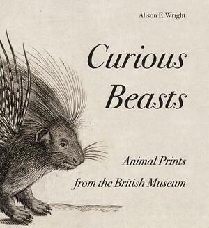 Curious Beasts: Animal Prints from the British Museum by Alison Wright