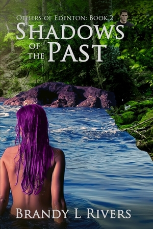 Shadows of the Past by Brandy L. Rivers
