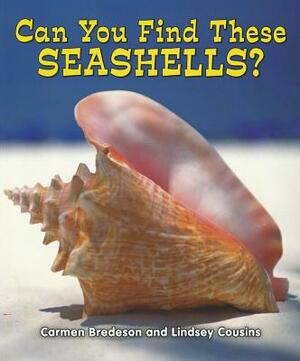 Can You Find These Seashells? by Carmen Bredeson, Lindsey Cousins