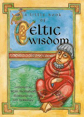 A Little Book Of Celtic Wisdom by Jon Berkeley