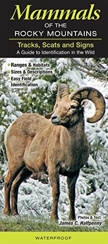 Tracks, Scats & Signs of Rocky Mountain Mammals: A Guide to Identification in the Wild by James C. Halfpenny