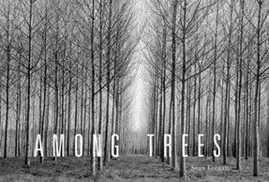Among Trees by Sean Kernan