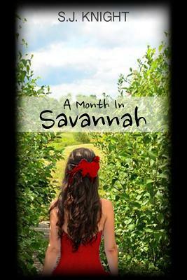 A Month In Savannah: 30 Days To Decide by Sj Knight