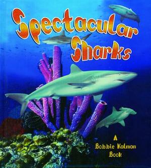 Spectacular Sharks by Bobbie Kalman