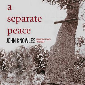 A Separate Peace by John Knowles