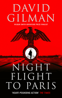 Night Flight to Paris by David Gilman