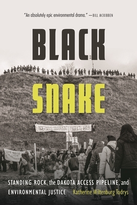 Black Snake: Standing Rock, the Dakota Access Pipeline, and Environmental Justice by Katherine Wiltenburg Todrys