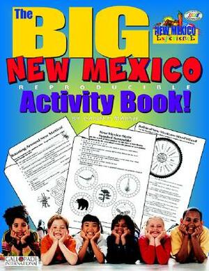 The Big New Mexico Activity Book! by Carole Marsh