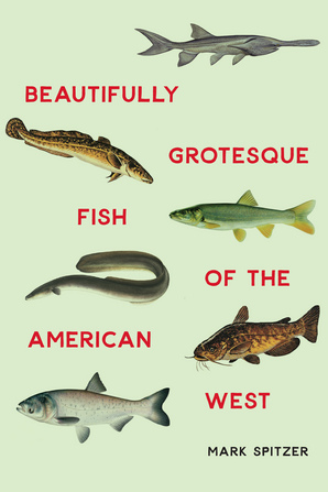 Beautifully Grotesque Fish of the American West by Mark Spitzer