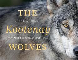The Kootenay Wolves: Five Years Following a Wild Wolf Pack by 