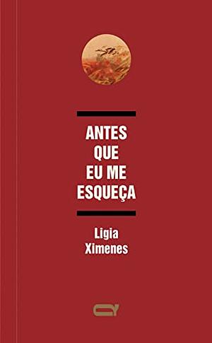 Antes que eu me esqueça by Ligia Ximenes