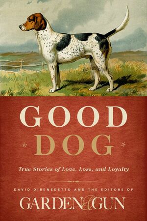 The Good Dog by David DiBenedetto